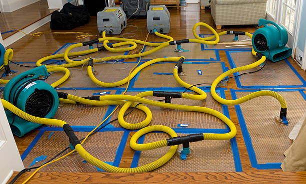 Professional Flood Damage Restoration technician working in Rollinsford, NH